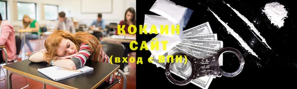 тгк Алзамай