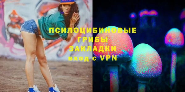 тгк Алзамай