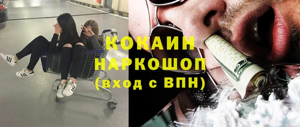индика Покров