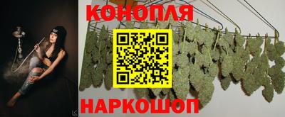 PSILOCYBIN Гай