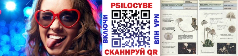 хочу   Ейск  Псилоцибиновые грибы прущие грибы 
