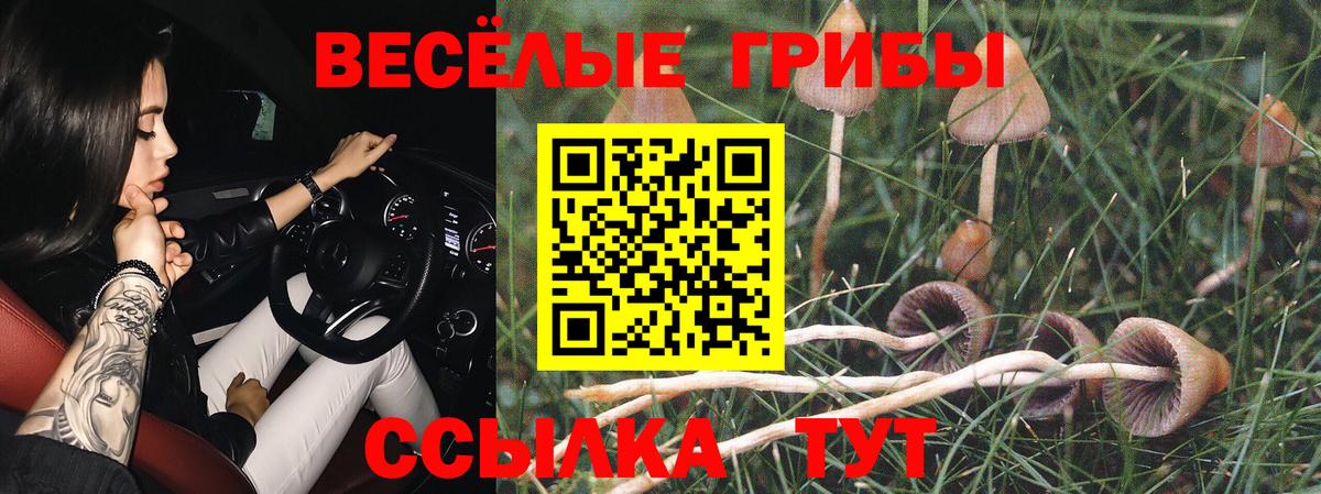 Галлюциногенные грибы мицелий Ейск